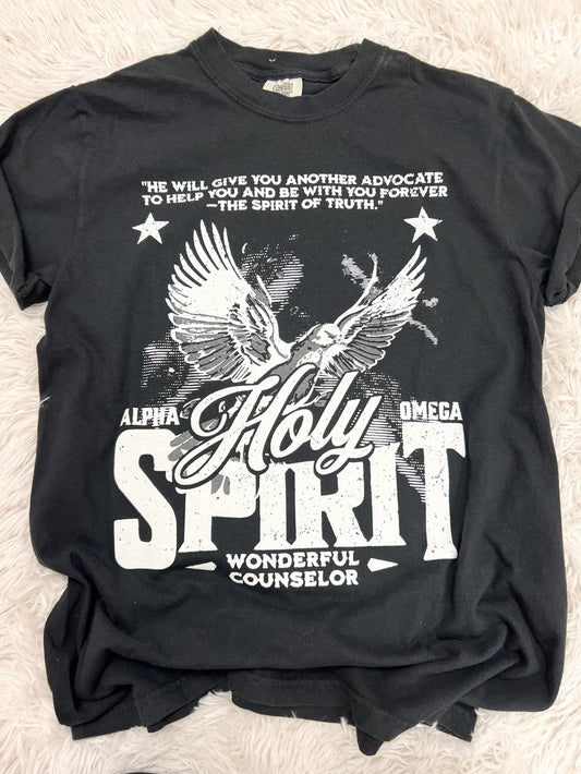 Holy Spirit Comfort Colors